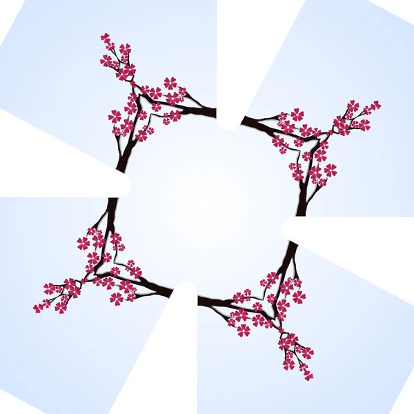 Sakura flor cereja espelho cruz quadro — Vetor de Stock