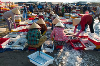 Uzun hai Balık pazarı, vietnam.