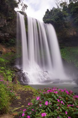 Bao Loc, Vietnam dağlık dambri şelale.