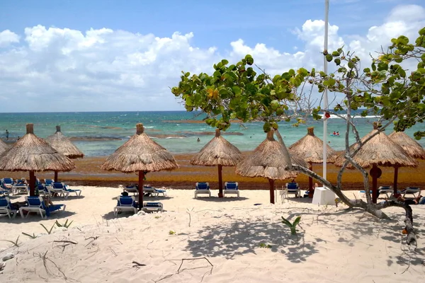 Messico Spiaggia Giornata Sole — Foto Stock