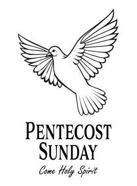 Illustration of a white dove with spread wings symbolizing the Holy Spirit, accompanied by the text Pentecost Sunday. Ideal for church events, religious posters, or Pentecost celebrations. Vector illustration
