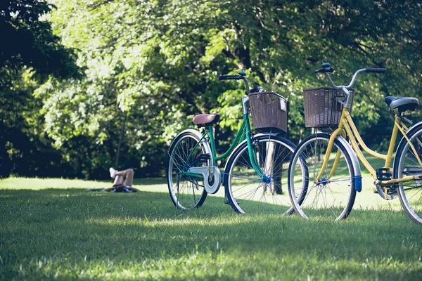 Bici nel parco — Foto Stock