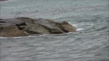 dalgalara karşı akşam kayalarda