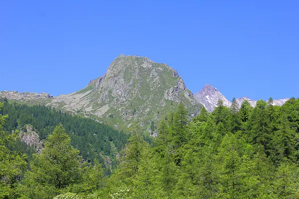 Panoramiczny widok na góry — Zdjęcie stockowe