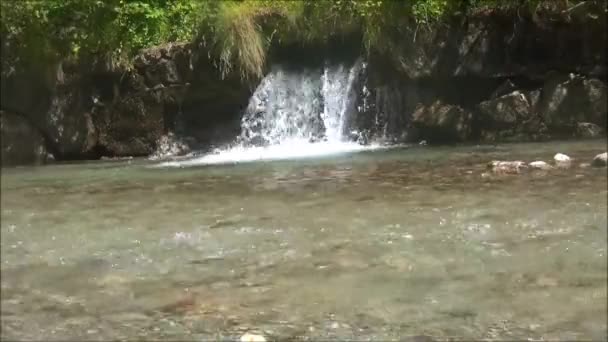 Vatten som rinner in i sjön — Stockvideo