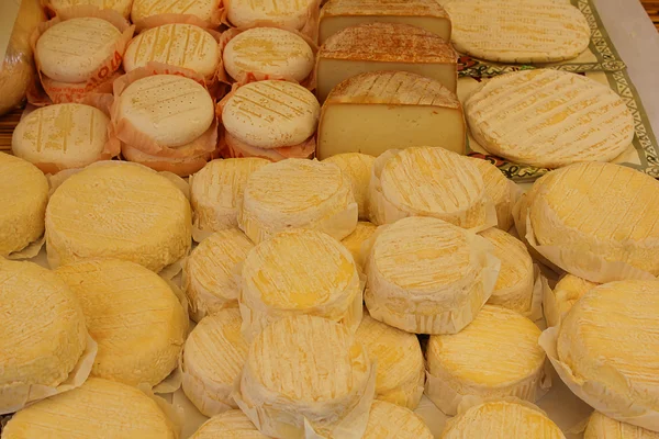 Différents types de fromage italien — Photo