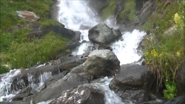 Der Boden des Wasserfalls — Stockvideo