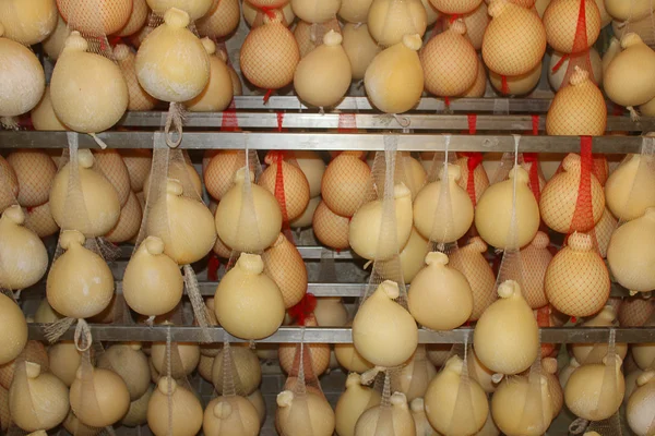 bazı peynir formlarda çantaları