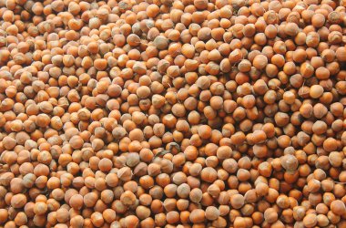 bir fındık arka plan