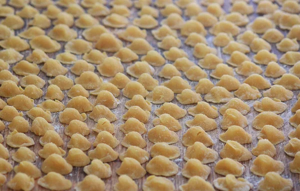 handmade italian pasta orecchiette in the kitchen
