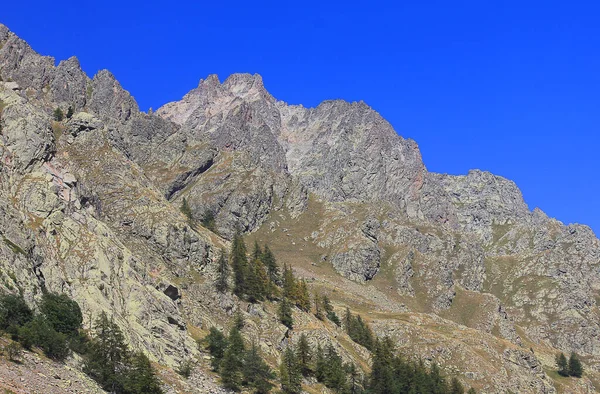 Panorama Montanha Com Rochas Árvores Itália — Fotografia de Stock