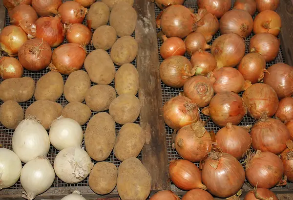 Cebolas e batatas — Fotografia de Stock