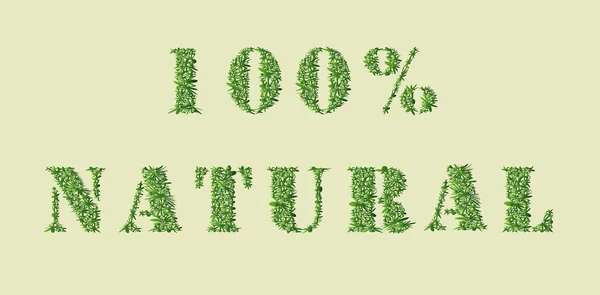 Ecology nature design. 100 % Natural — Stock Vector