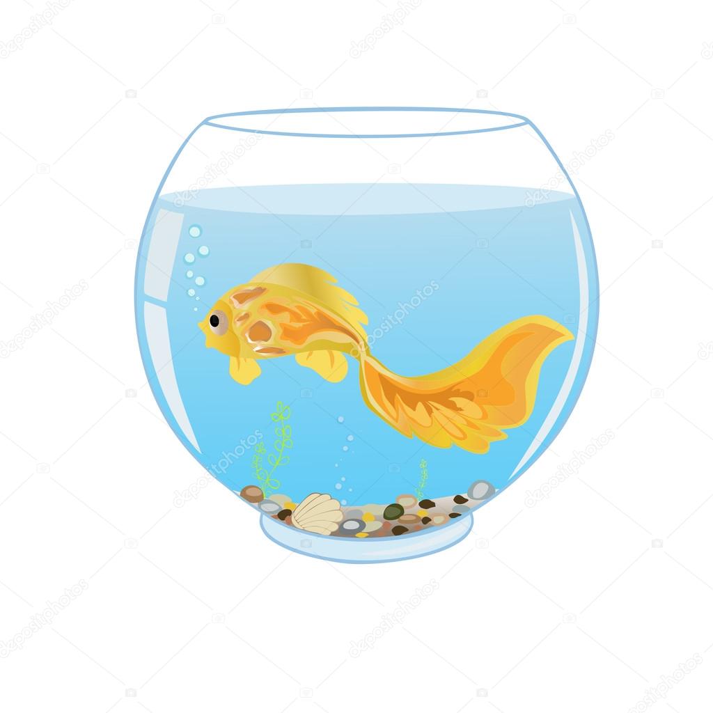 Goldfish swimming in aquarium