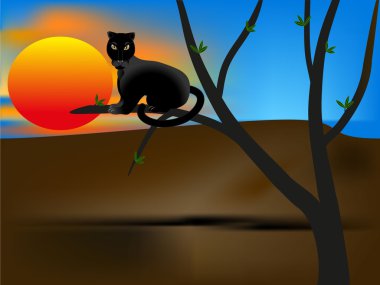 Bir ağaç dalı batımında Panter.