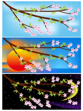 Bahar dalları çiçeklenme ile üç afiş.