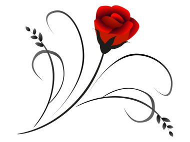 Tasarım kırmızı gül.