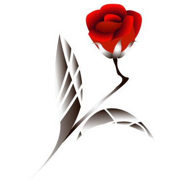 Kırmızı gül ile şube.