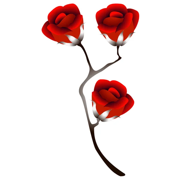 Branche aux roses . — Image vectorielle