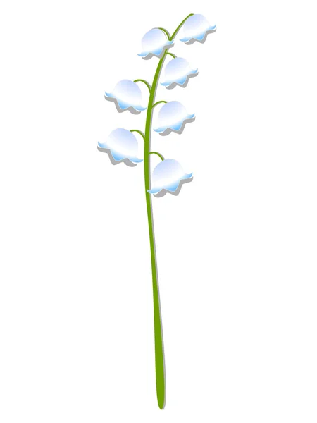 The branch of lilies of the valley. — Stock Vector