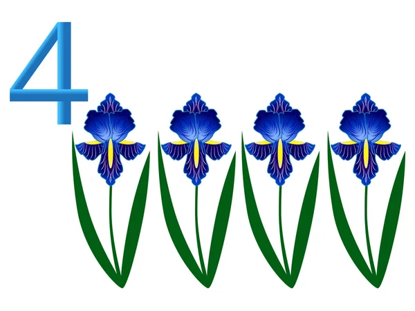 Nummer vier, iris bloem. — Stockvector