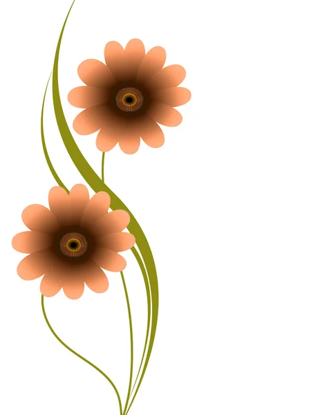 Floral background with gerbera. — Stock Vector