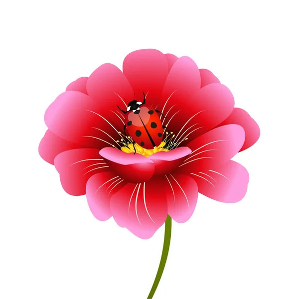 Flor rosa con una mariquita . — Vector de stock