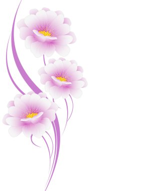 Pembe çiçekli çiçek arka planı.