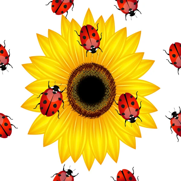 Seamless pattern with ladybirds and sunflower. — Stock Vector