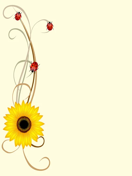 Floral background with sunflower and ladybugs, design element. — Stock Vector