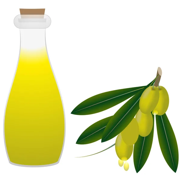 Flaska Med Olivolja Och Olivkvistar — Stock vektor