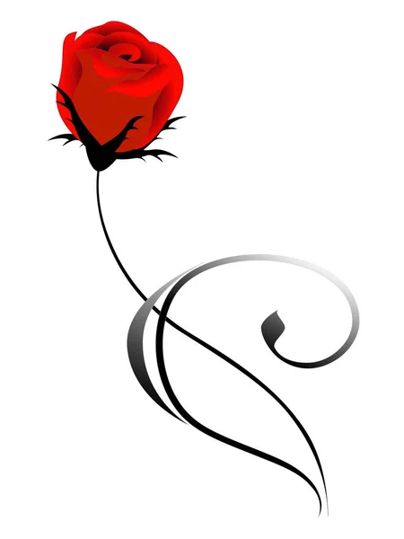 Rosa Flor Sobre Fondo Blanco — Vector de stock