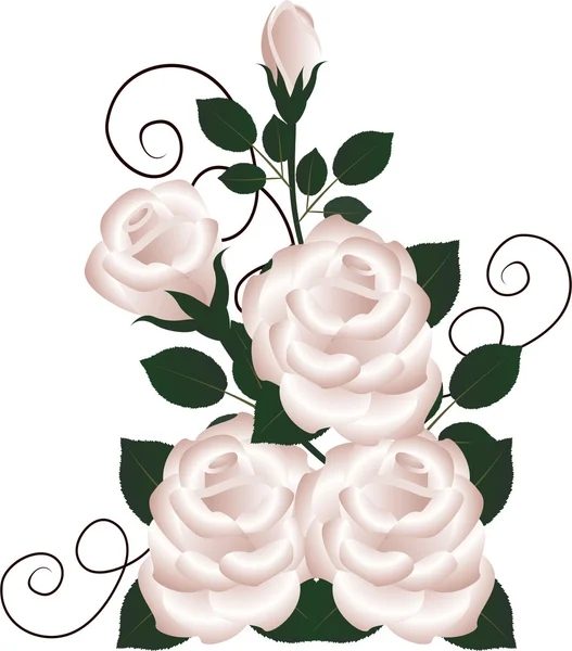 Un bouquet de roses sur fond blanc . — Image vectorielle