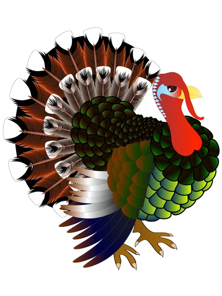 Illustration colorful turkey. — Stock Vector