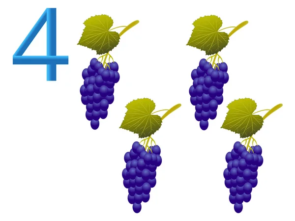 Nummer vier, druiven. — Stockvector
