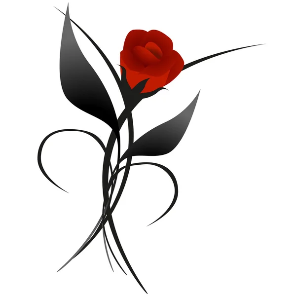 Red rose on a white background. — Stock Vector