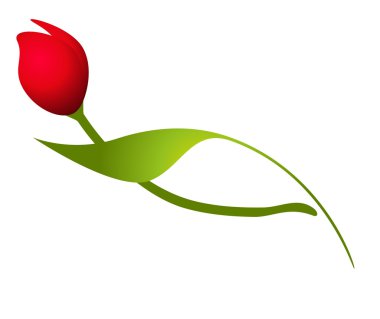 İllüstrasyon kırmızı lale.