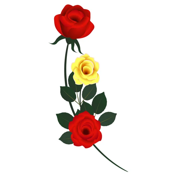 Tre rose nel bouquet . — Vettoriale Stock