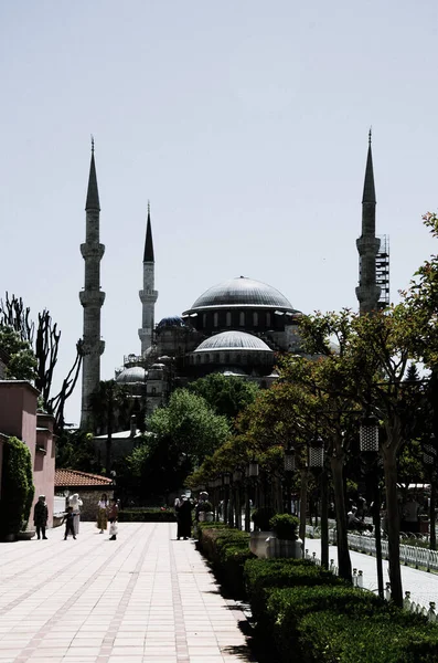 Arbres Chemin Mosquée Bleue Istanbul Turquie — Photo