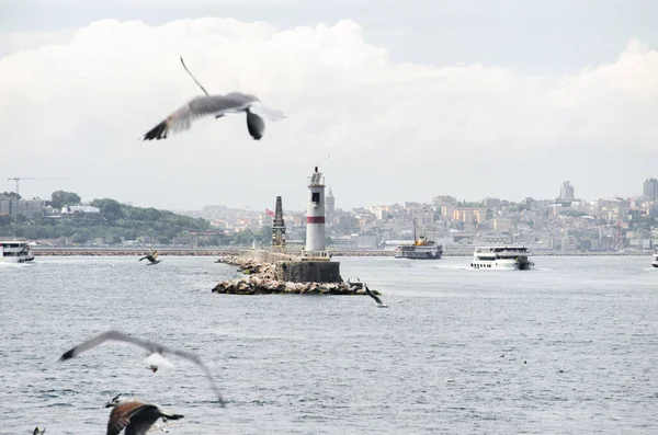 Gabbiani Che Volano Intorno Faro Kadikoy Istanbul — Foto Stock