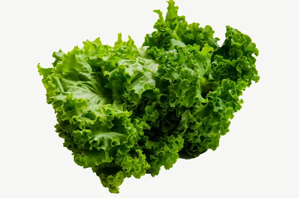 Frischer Grüner Salat Isoliert Archivbild — Stockfoto