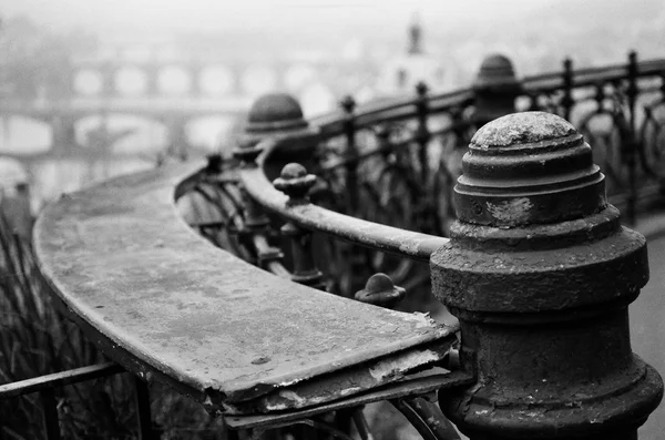 Praha morgon river — Stockfoto