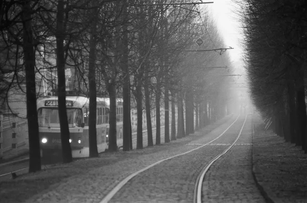 Tram Praha brouillard — Photo
