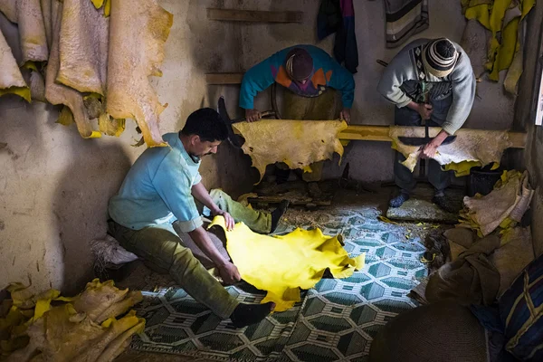 Arbre homme travaillant dans une tannerie dans la ville de Fès au Maroc . — Photo