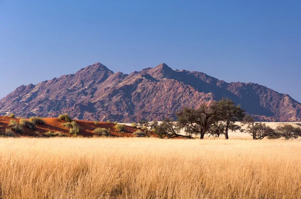 Vista de la sabana en Namibia — Foto de Stock