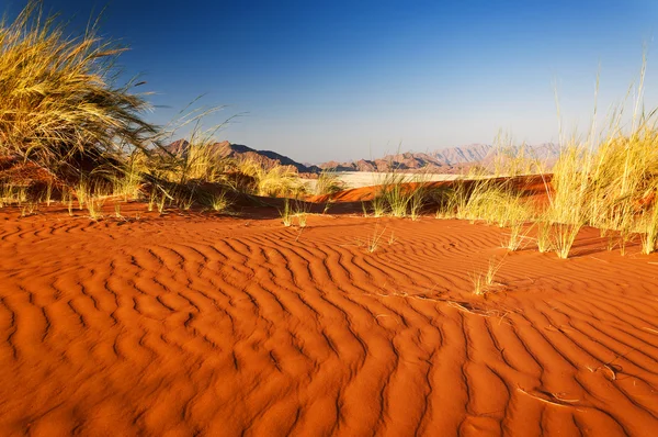Detalhe de uma duna vermelha na Namíbia — Fotografia de Stock