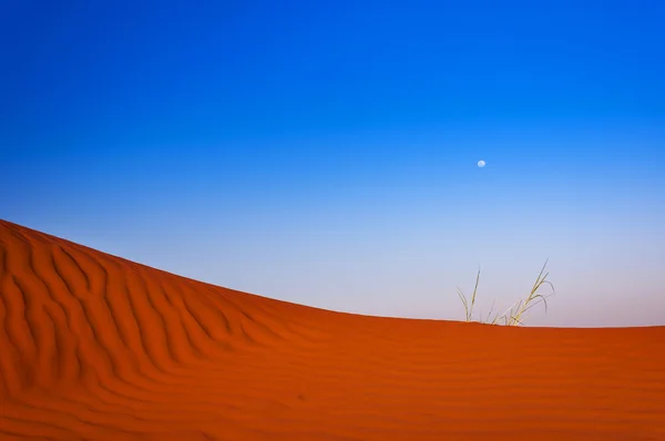 Detalhe de uma duna vermelha na Namíbia — Fotografia de Stock