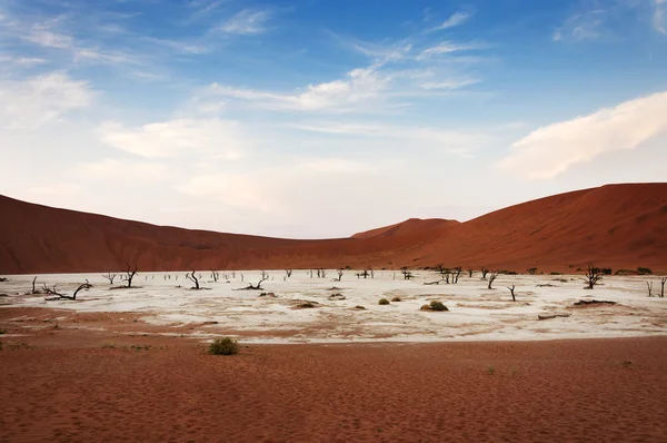 Weergave van de Deadvlei in Namibië — Stockfoto