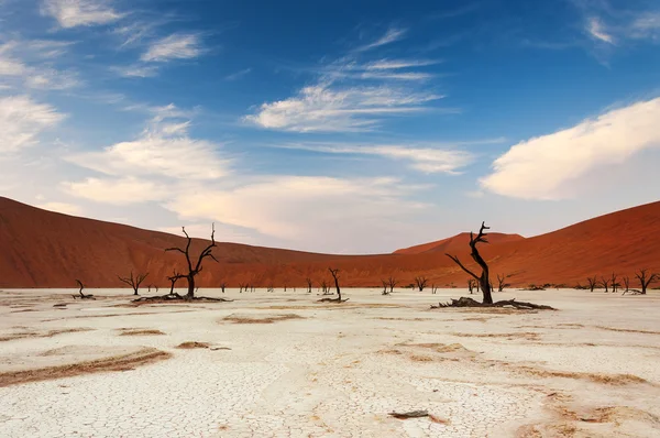 Vue des Deadvlei en Namibie — Photo