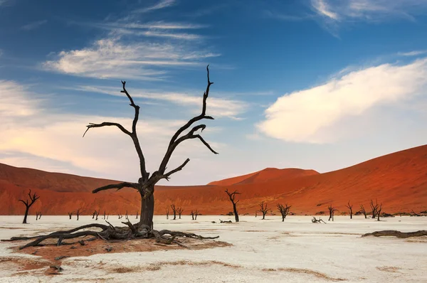 Vista do Deadvlei na Namíbia — Fotografia de Stock